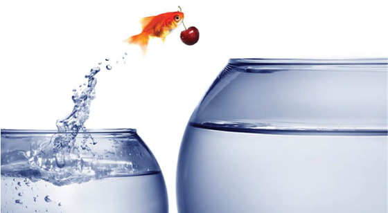 Accountancy Franchise: The LowTax Group