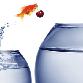 Accountancy Franchise: The LowTax Group